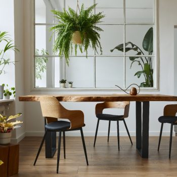 Enhancing Wellness Through Biophilic Interior Design Ideas