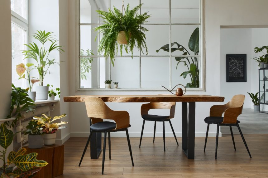 Enhancing Wellness Through Biophilic Interior Design Ideas