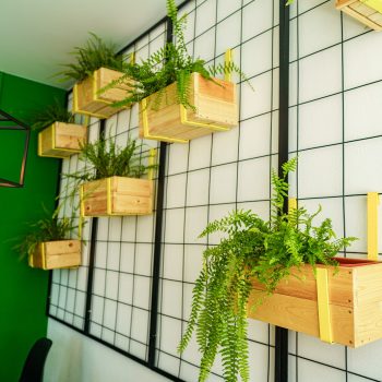 Captivating Plant Wall Ideas: Transform Your Space with Green Elegance