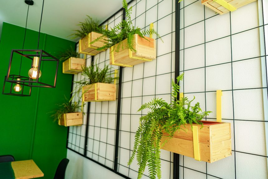 Captivating Plant Wall Ideas: Transform Your Space with Green Elegance
