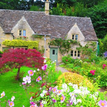 17 Cottage Garden Ideas for Charming Outdoors