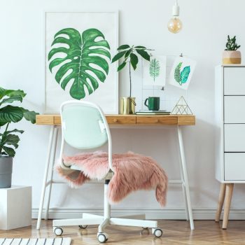 Best Green Dorm Room Decor Ideas For You