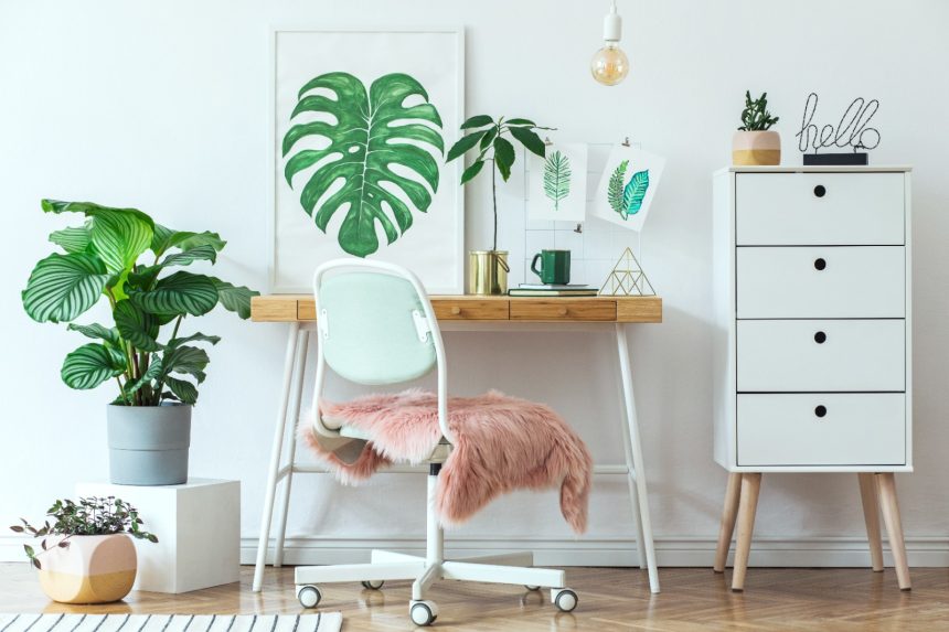 Best Green Dorm Room Decor Ideas For You