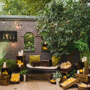 Secret Garden Ideas to Create Your Peaceful Retreat