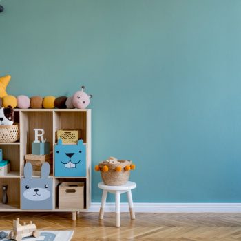 Top Toy Organization Ideas for Moms
