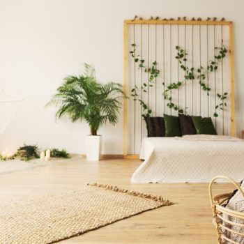 Bringing Nature Indoors: More Ideas for Nature Lovers in 2025