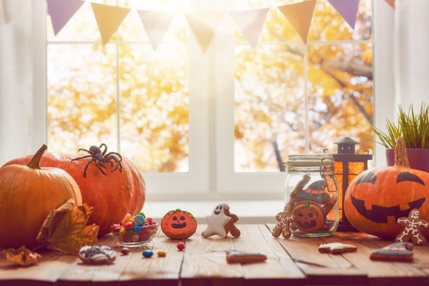 12 Fall Sunroom Ideas for a Warm and Inviting Atmosphere