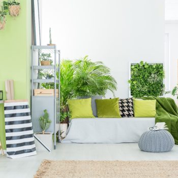 10 Sustainable Decor Ideas for Eco-Friendly Homes